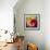Tulip Trio-Elizabeth Horning-Framed Giclee Print displayed on a wall