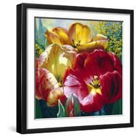 Tulip Trio-Elizabeth Horning-Framed Giclee Print