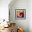 Tulip Trio-Elizabeth Horning-Framed Giclee Print displayed on a wall
