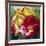 Tulip Trio-Elizabeth Horning-Framed Giclee Print