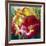 Tulip Trio-Elizabeth Horning-Framed Premium Giclee Print