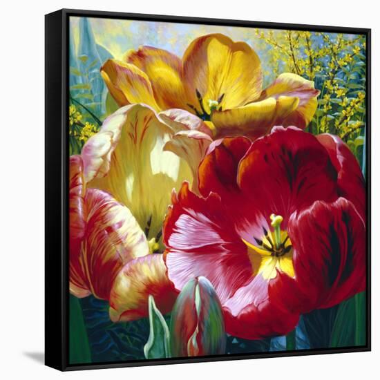 Tulip Trio-Elizabeth Horning-Framed Stretched Canvas