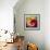 Tulip Trio-Elizabeth Horning-Framed Premium Giclee Print displayed on a wall