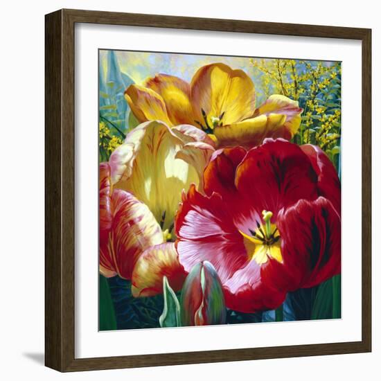 Tulip Trio-Elizabeth Horning-Framed Premium Giclee Print