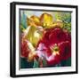 Tulip Trio-Elizabeth Horning-Framed Premium Giclee Print