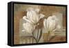 Tulip Waltz I-Lisa Audit-Framed Stretched Canvas