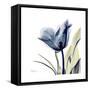 Tulip Whisper-Albert Koetsier-Framed Stretched Canvas