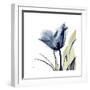 Tulip Whisper-Albert Koetsier-Framed Art Print