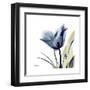 Tulip Whisper-Albert Koetsier-Framed Art Print