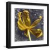 Tulip Yellow-null-Framed Art Print