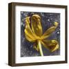 Tulip Yellow-null-Framed Art Print