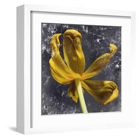 Tulip Yellow-null-Framed Art Print