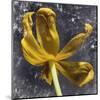 Tulip Yellow-null-Mounted Art Print