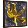 Tulip Yellow-null-Framed Art Print