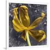 Tulip Yellow-null-Framed Art Print