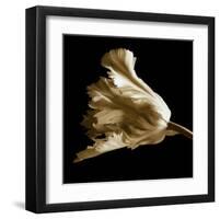 Tulip-Michael Harrison-Framed Art Print