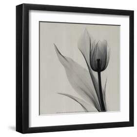 Tulip-Marianne Haas-Framed Art Print