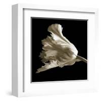 Tulip-Michael Harrison-Framed Giclee Print