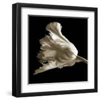 Tulip-Michael Harrison-Framed Giclee Print