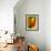 Tulip-Ursula Abresch-Framed Photographic Print displayed on a wall