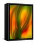 Tulip-Ursula Abresch-Framed Stretched Canvas