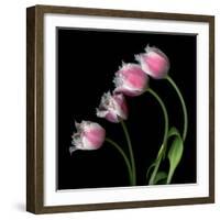 tulip-Magda Indigo-Framed Photographic Print