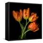 tulip-Magda Indigo-Framed Stretched Canvas