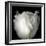 tulip-Magda Indigo-Framed Photographic Print