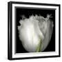 tulip-Magda Indigo-Framed Photographic Print