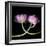 tulip-Magda Indigo-Framed Photographic Print