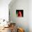 \tulip-Magda Indigo-Stretched Canvas displayed on a wall