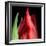 \tulip-Magda Indigo-Framed Photographic Print