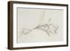 Tulip-Albert Williams-Framed Giclee Print