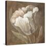 Tulip-Rich Wilder-Stretched Canvas