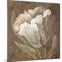 Tulip-Rich Wilder-Mounted Premium Giclee Print