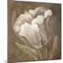 Tulip-Rich Wilder-Mounted Premium Giclee Print