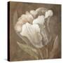 Tulip-Rich Wilder-Stretched Canvas