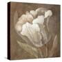 Tulip-Rich Wilder-Stretched Canvas