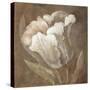 Tulip-Rich Wilder-Stretched Canvas