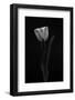 Tulip-Lotte Gronkjar-Framed Photographic Print