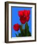 Tulip-George Oze-Framed Photographic Print