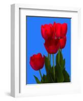 Tulip-George Oze-Framed Photographic Print