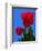 Tulip-George Oze-Framed Photographic Print