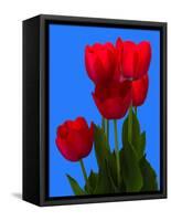 Tulip-George Oze-Framed Stretched Canvas