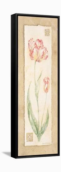 Tulip-Pamela Gladding-Framed Stretched Canvas