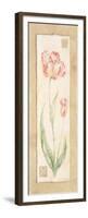 Tulip-Pamela Gladding-Framed Premium Giclee Print