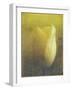 Tulip-Johan Lilja-Framed Giclee Print