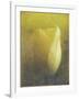 Tulip-Johan Lilja-Framed Giclee Print