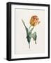 Tulip-Valentine Bartholomew-Framed Giclee Print