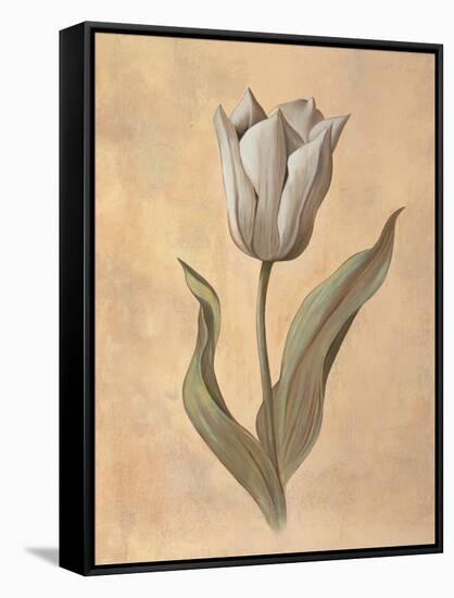 Tulip-Virginia Huntington-Framed Stretched Canvas